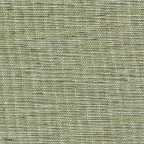 Sisal Tapete in Amande von CMO Paris