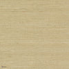 Sisal Tapete in Champagne von CMO Paris
