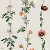 Climbing Flowers wallpaper in Linen by Coordonne