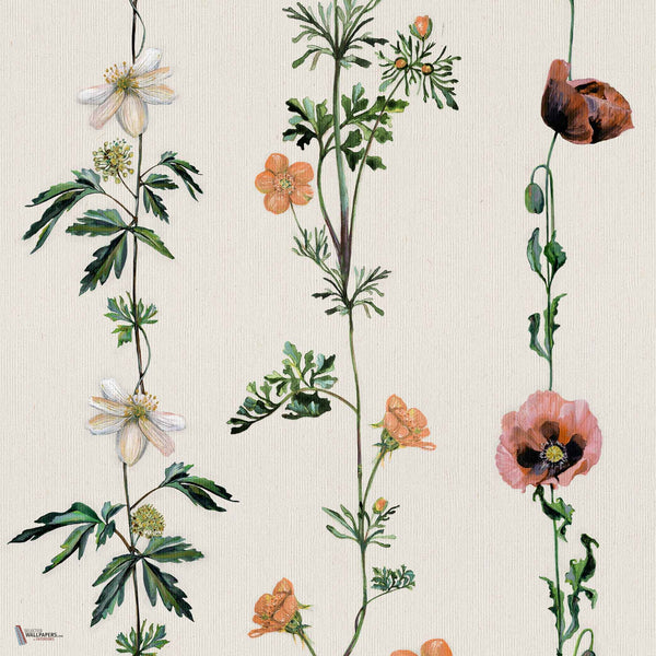 Climbing Flowers wallpaper in Linen by Coordonne