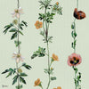 Climbing Flowers wallpaper in Melon by Coordonne