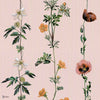 Climbing Flowers wallpaper in Pink by Coordonne