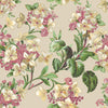 Flowery Tapete in Beige von Coordonne