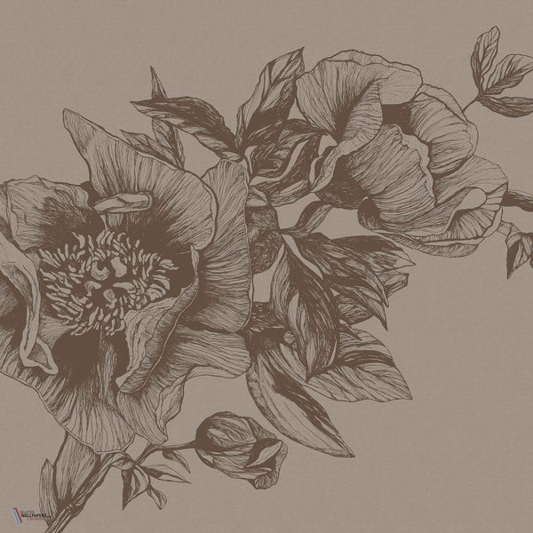 Giant Peonies wallpaper in Cacao by Coordonne