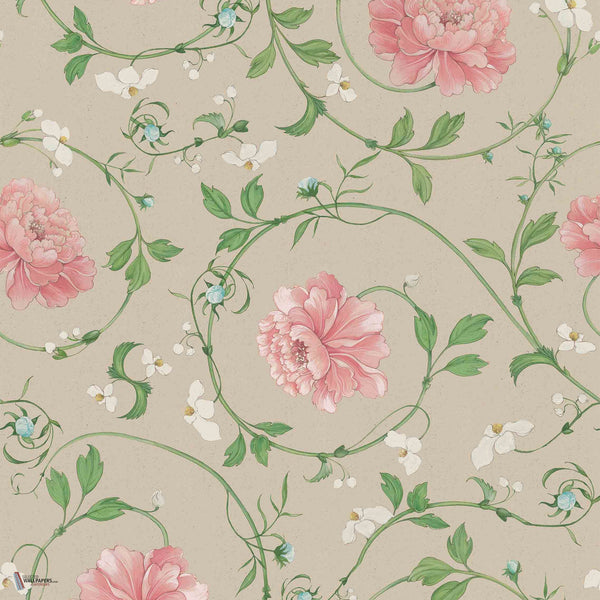 Lorenzo Meazza - Mirabelle wallpaper in Stella by Coordonne
