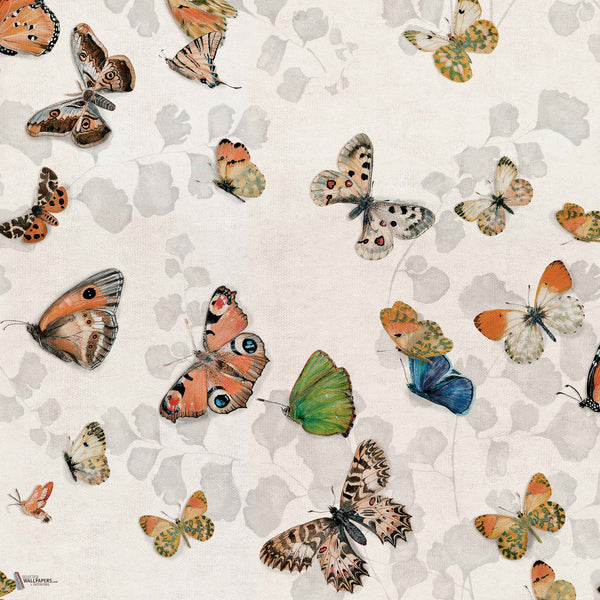 Magic Butterflies Tapete in Linen von Coordonne