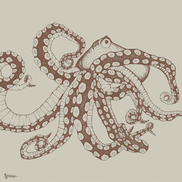 Octopus X-Ray wallpaper in Papirus by Coordonne