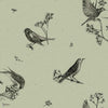 Sweet Birds Tapete in Matcha von Coordonne