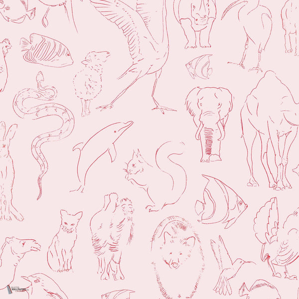 Zoology Tapete in Candy von Coordonne