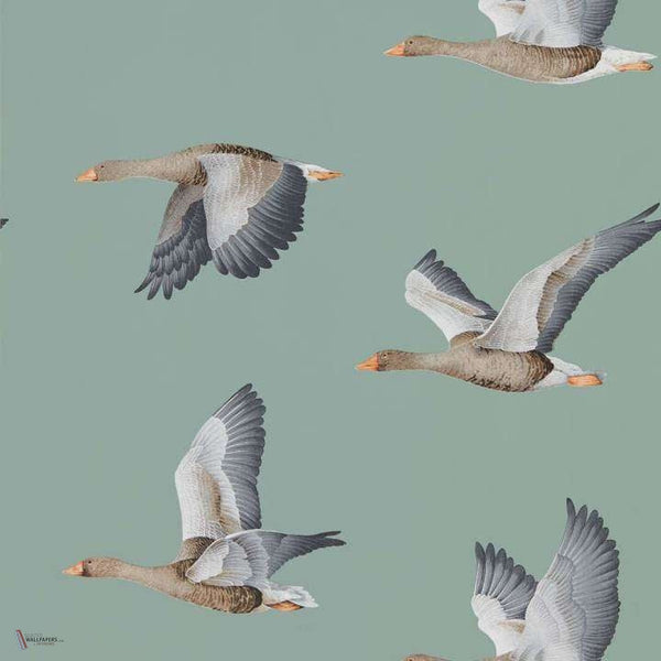 Elysian Geese wallpaper in Blue Clay van Sanderson
