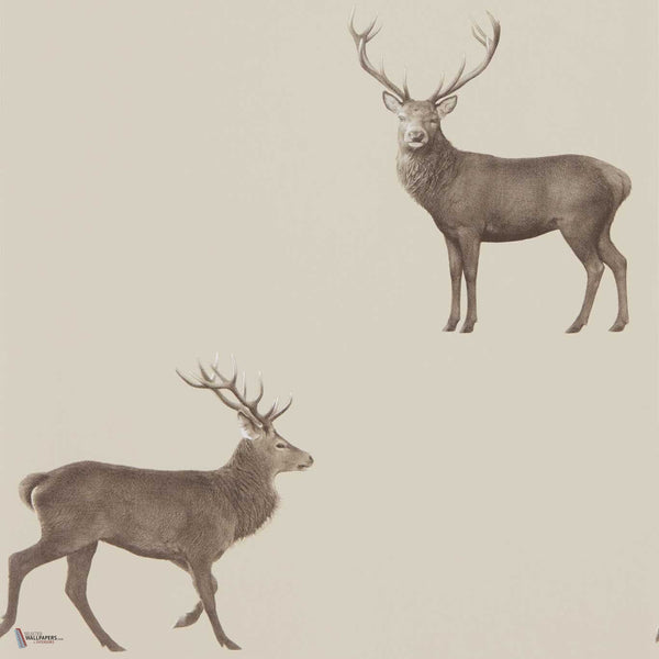 Evesham Deer wallpaper in Birch van Sanderson