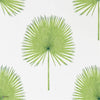 Fan Palm wallpaper in Green van Sanderson