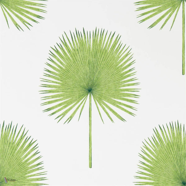 Fan Palm wallpaper in Green van Sanderson