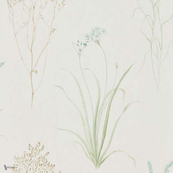 Farne Grasses wallpaper in Cream/Sage van Sanderson