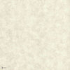 Fenton wallpaper in Ivory van 1838 wallcoverings