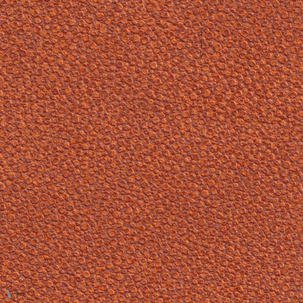 Galuchat wallpaper van Elitis