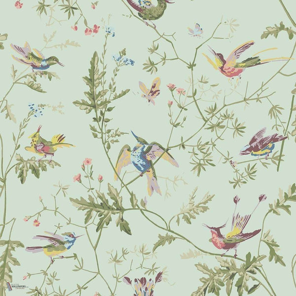 Hummingbirds wallpaper in Old Olive van Cole & Son