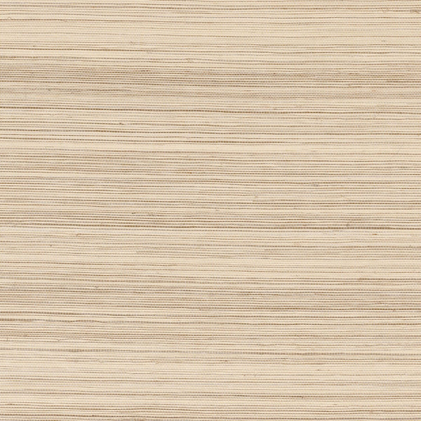 Picta wallpaper