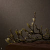 Tissage Mahieu Willow wallpaper sfeerbeeld — Juniper
