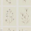 Little Thistles wallpaper in Ecru van Sanderson