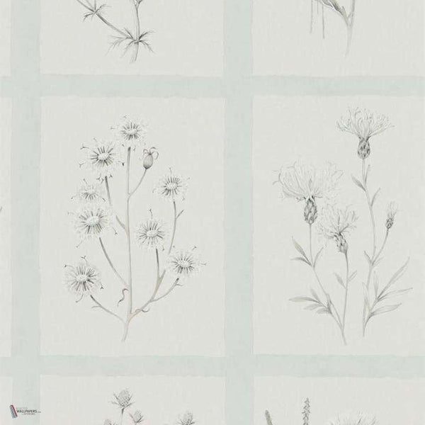 Little Thistles wallpaper in Grey/Blue van Sanderson