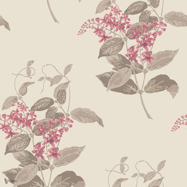 Madras Violet wallpaper in Fuchsia & Linen van Cole & Son