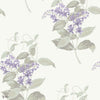Madras Violet wallpaper in Lilac & Stone van Cole & Son