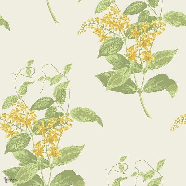 Madras Violet wallpaper in Yellow & Linen van Cole & Son