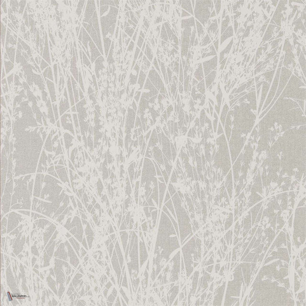 Meadow Canvas wallpaper in White/Grey van Sanderson