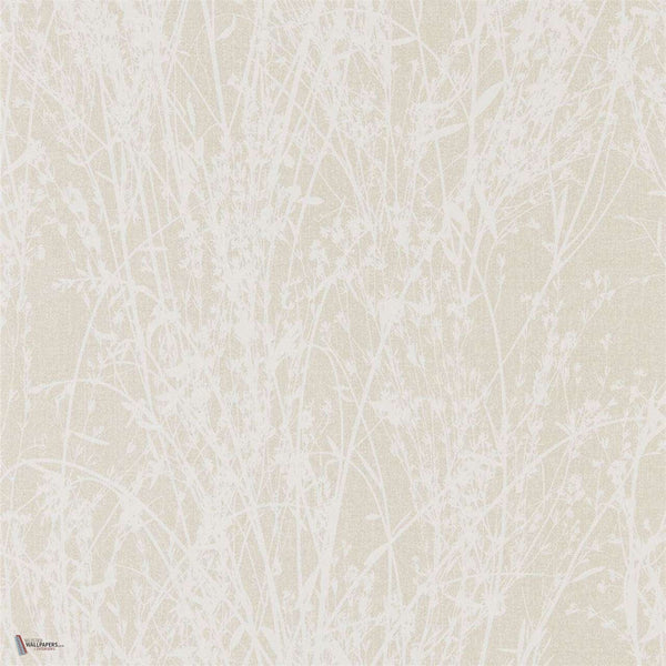 Meadow Canvas wallpaper in White/Parchment van Sanderson