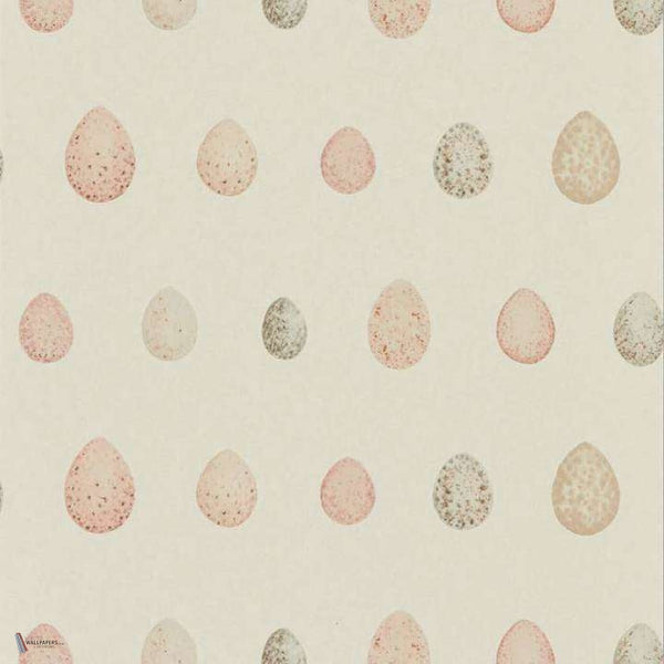 Nest Egg wallpaper in Blush Pink van Sanderson