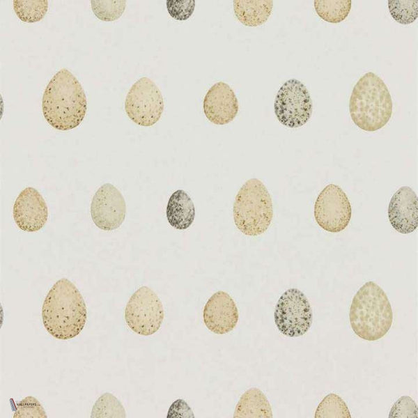 Nest Egg wallpaper in Graphite van Sanderson
