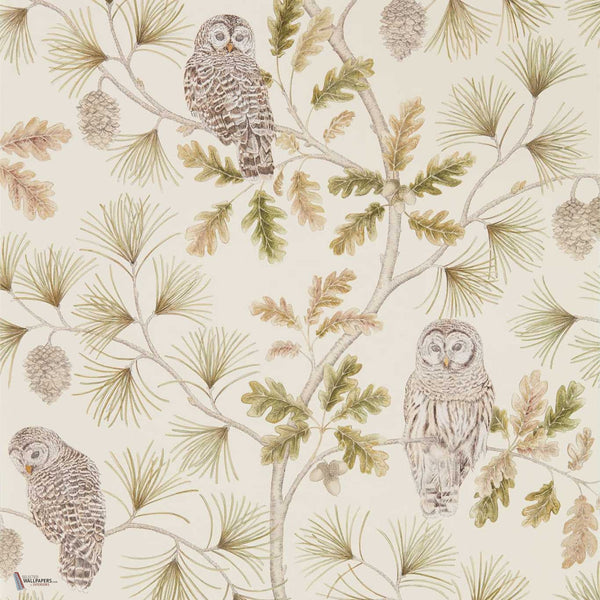 Owlswick wallpaper in Briarwood van Sanderson