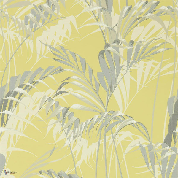 Palm House wallpaper in Grey van Sanderson