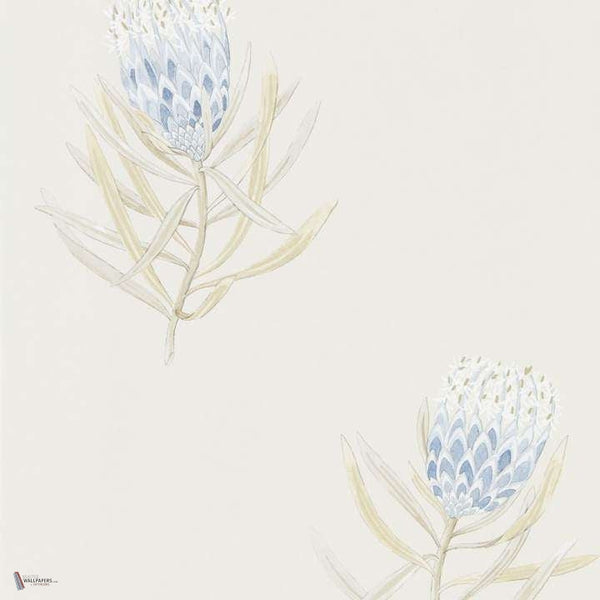 Protea Flower wallpaper in China Blue van Sanderson