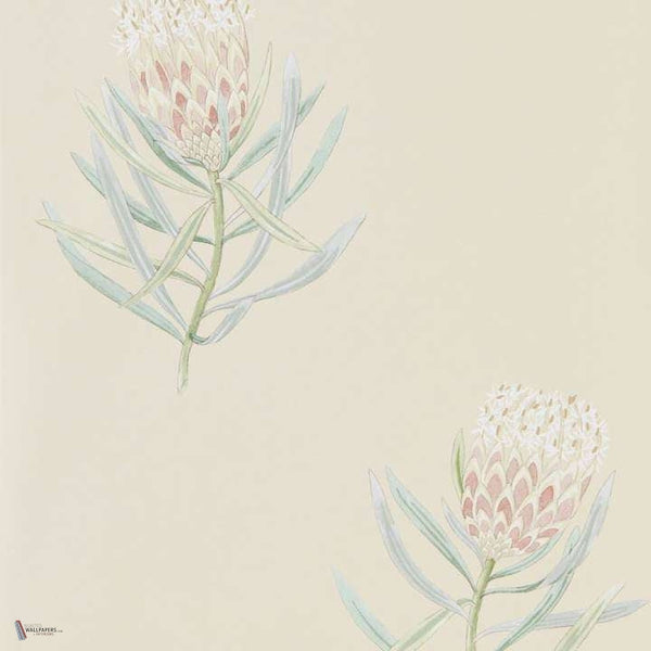 Protea Flower wallpaper in Russet/Green van Sanderson
