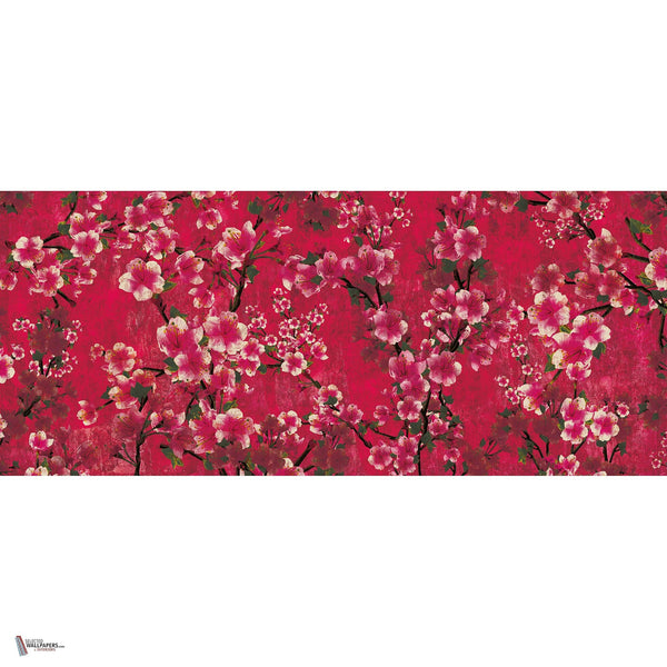 The Cherry Blossom wallpaper in Aubergine van Daisy James — volledig ontwerp