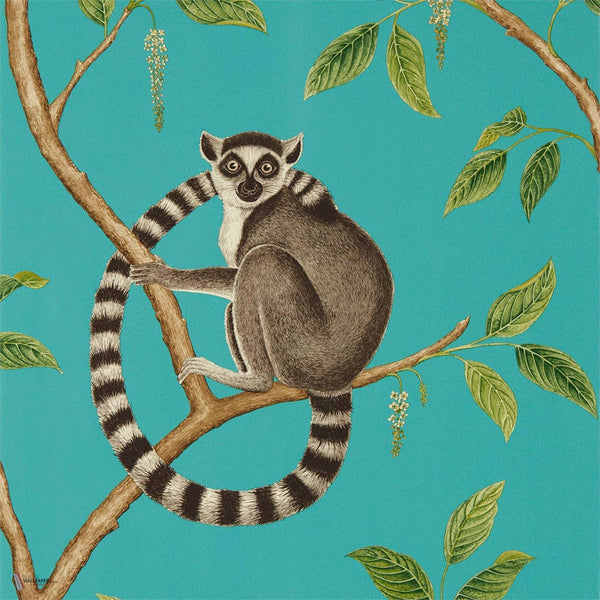 Ringtailed Lemur wallpaper in Teal van Sanderson