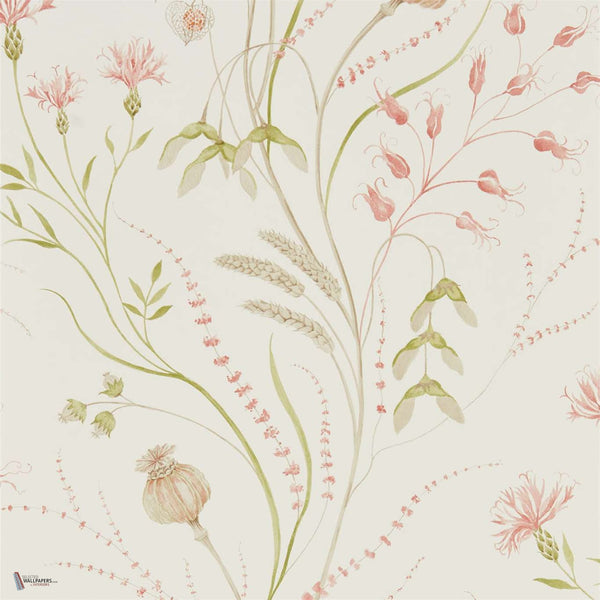 Summer Harvest wallpaper in Claret/Olive van Sanderson