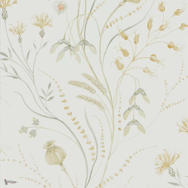 Summer Harvest wallpaper in Silver Corn van Sanderson