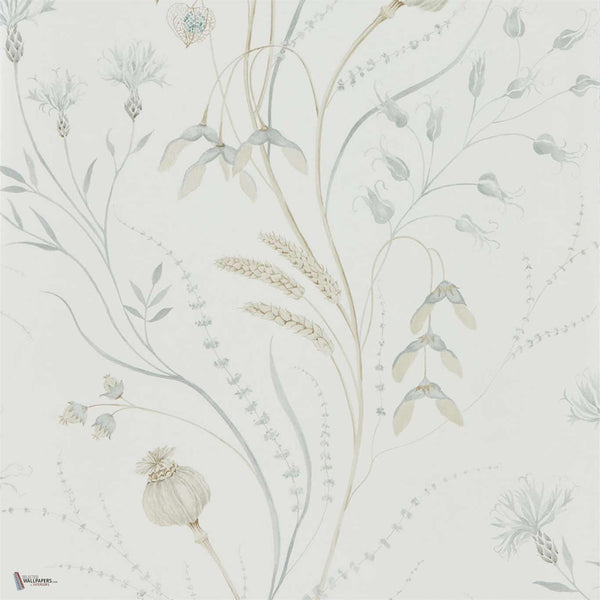 Summer Harvest wallpaper in Silver/Chalk van Sanderson