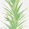 Yucca wallpaper in Green van Sanderson