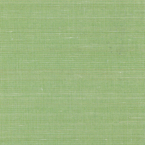 Abaca Natural Palette-wallpaper-Greenland-2081-Meter (M1)-N158NA2081-Selected Wallpapers