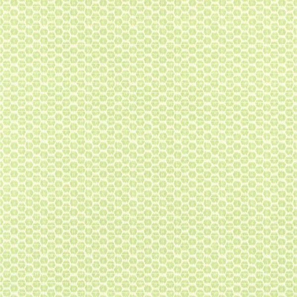 Akari-Wallpaper-Thibaut-Spring-Roll-T13365-Selected Wallpapers