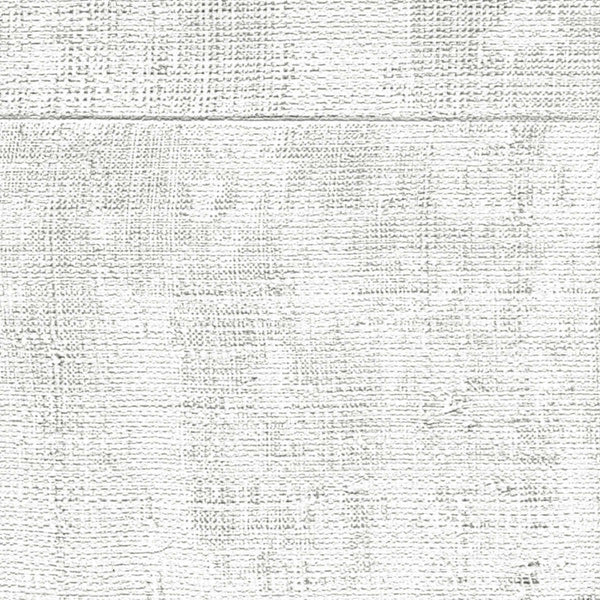 Atelier D'Artiste-Wallpaper-Elitis-Retour and Grace-Roll-VP 880 01-Selected Wallpapers