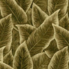 Bird of Paradise-wallpaper-Arte-Gold-Meter (M1)-97571-Selected Wallpapers