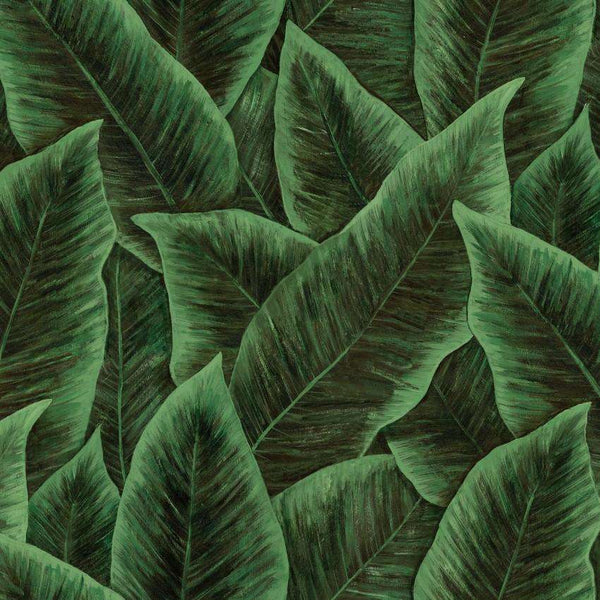 Bird of Paradise-wallpaper-Arte-Emerald-Meter (M1)-97572-Selected Wallpapers