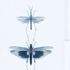 Entomologie-Tapete-Mind the Gap-Blauw-300 cm (standaard)-WP20235-Selected Wallpapers
