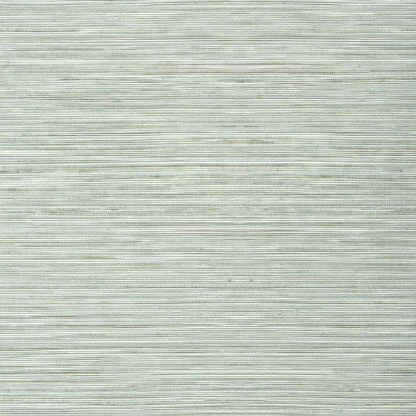 Kendari Grass-Wallpaper-Thibaut-Robin's Egg-Roll-T303-Selected Wallpapers