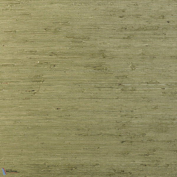 Kudzu-Wallpaper-Arte-Olive-Meter (M1)-54530-Selected Wallpapers